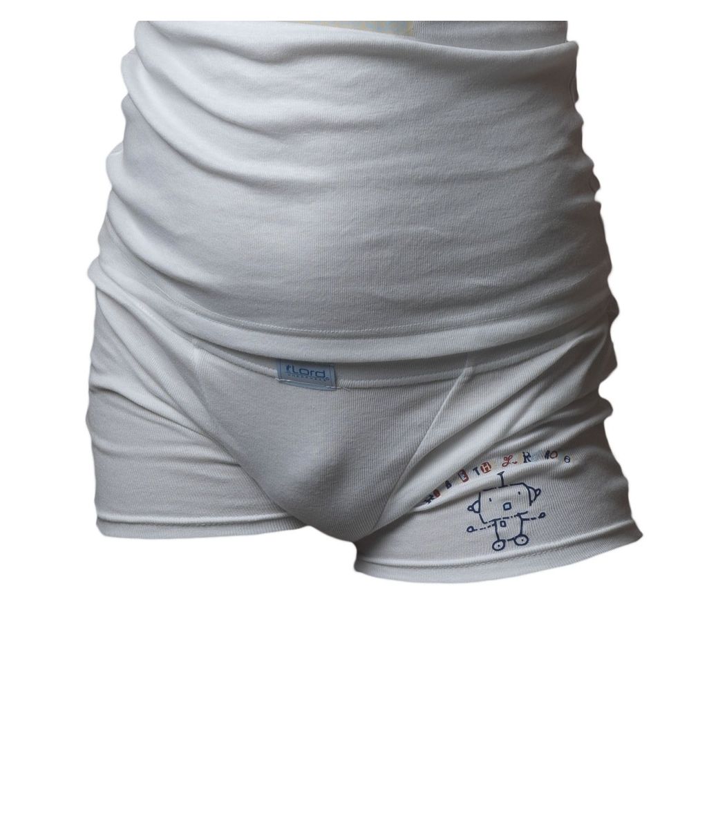 Boxer Robots, white