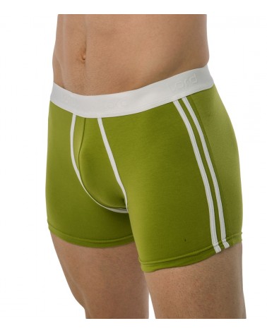 Boxer, λευκές ρίγες, πράσινο