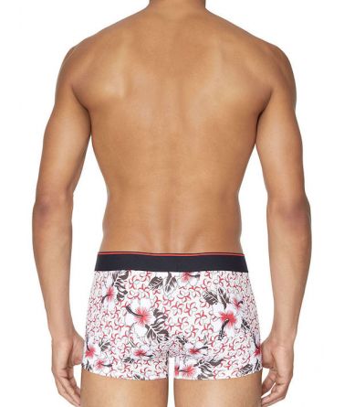  Εφαρμοστά Boxer DIESEL Diesel Ανδρικό Boxer φλοραλ {PRODUCT_REFERENCE}-4